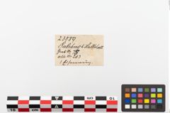 Etiketten zu Eisenring (NHMW-PRAE-023889)
